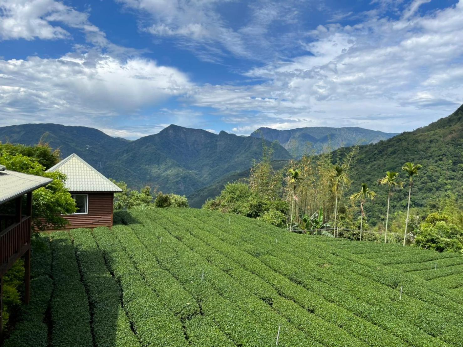 Ye Jiang Hua Homestay Meishan Dış mekan fotoğraf